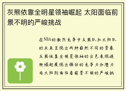 灰熊依靠全明星领袖崛起 太阳面临前景不明的严峻挑战