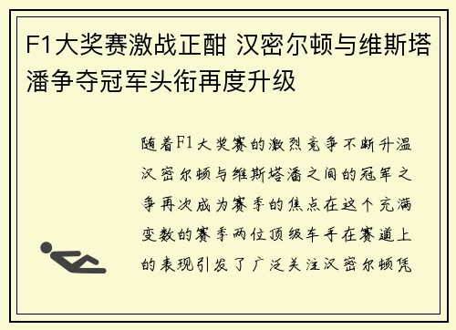 F1大奖赛激战正酣 汉密尔顿与维斯塔潘争夺冠军头衔再度升级